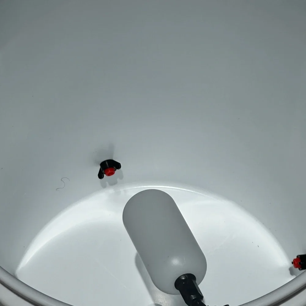 Automatic water feeder